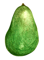 Ripe, dietary, green avocado. Juicy watercolor illustration. Fruit clipart on a white background.