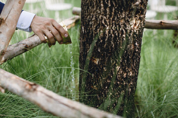 Water gravel to make merit, make merit, pour water onto the ground, tree trunks