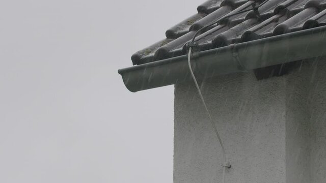 Wide shot of a rain gutter in the rain. Bird looks out of the rain gutter, jumps from the roof and flies away.