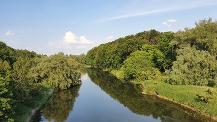 Fototapeta premium landscape with trees and river 