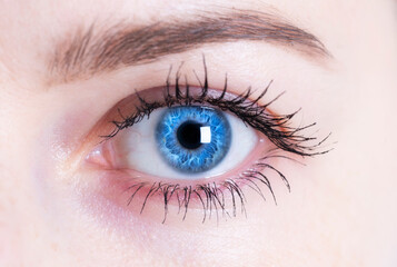 Close up shot of blue human eye