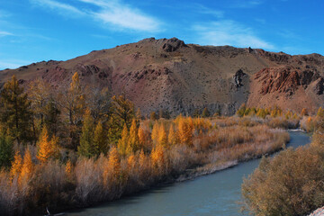 Autumn landscape in the mountains. Altai mountains. The river is in the foreground. Tourism, travel. Background, texture, element for design, print, postcard.