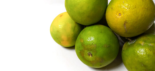 Lots of fresh green oranges neatly arranged on a white background. isolated few green oranges with copy space suitable for landing page or website.