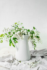 lush bouquet of white flowering acacia in white jug with bunch on light background. home decor with live plants. vertical content, selective focus