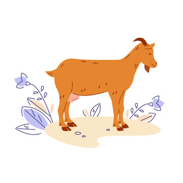 brown goat standing in field clip art preview