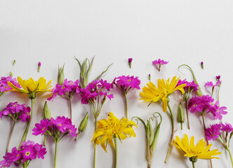 Obraz premium flowers of summertime