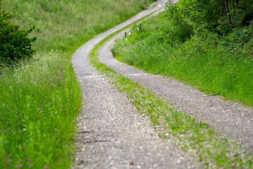 Fototapeta na wymiar Rural pathway alongside the railway tracks at Eglisau, canton Zurich, on a rainy day at summertime. Photo taken June 9th, 2021, Eglisau, Switzerland.