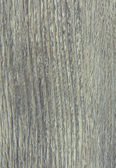 Old wooden rustic board as backdrop or background texture. Copy space for text