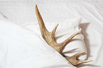 The horns lie on a pillow and are covered with a blanket. Adultery concept. - obrazy, fototapety, plakaty