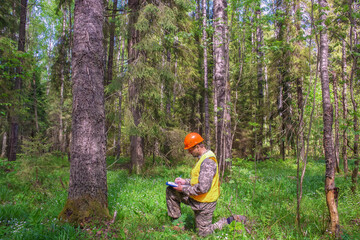 A forest engineer works in the forest. The ecologist records information about the forest area.