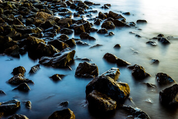 Wallpaper blurred nature of the twilight light in the evening by the large water basin surrounded by big trees, the integrity of the forest