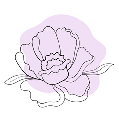 Vector line black illustration graphics flower peony with colors stains