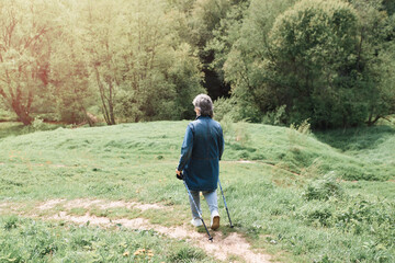 Naklejka na ściany i meble Senior woman hiking in nature. Active healthy lifestyle in retirement. Woman walking down the hill using trekking poles, rear view.