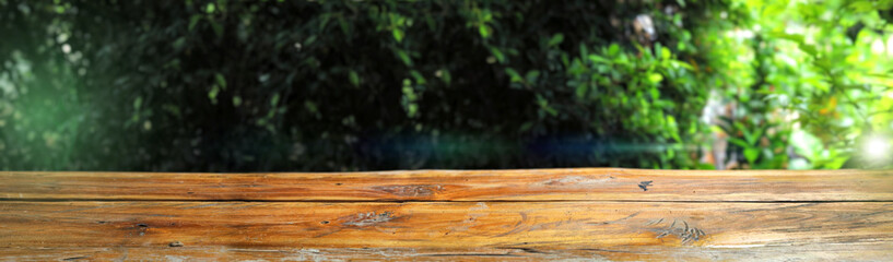 Wooden base with tree backdrop, wide backdrop for use.