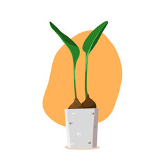 Potted houseplant vector, an illustration of indoor plant, for house decoration and the garden. Plant isolated in white background in cute cartoon style.