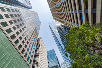 Obraz premium 【東京都】都市風景 大手町のオフィスビル群