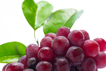 Red Grapes on white acrylic