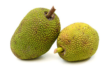 Jackfruit