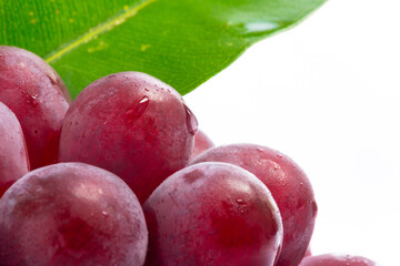 Red Grapes on white acrylic