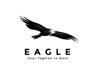 flying eagle hawk falcon bird logo design illustration