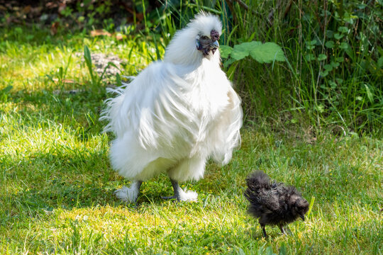 Vater und Sohn