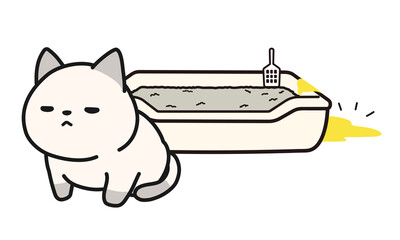 便器からはみ出しておしっこをしてしまった仔猫