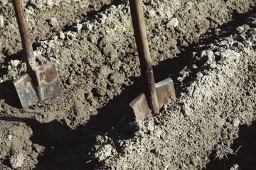 A trip to nature and rural work in the summer in the village