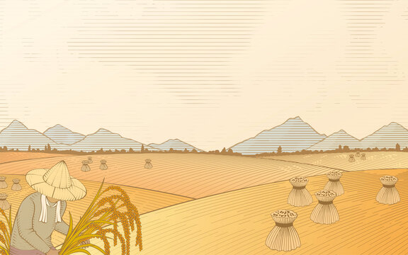 Rice field scene in engraving style
