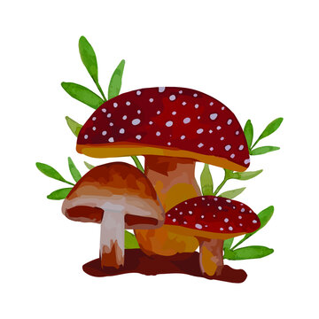 Watercolor bohemian forest mushroom set, isolated poster amanita description in the wooded area, mosquito maple, boletus, boletus mushroom decoration with orange cover.
