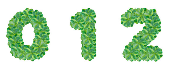 The numbers 0, 1, 2 are made from strawberry leaves