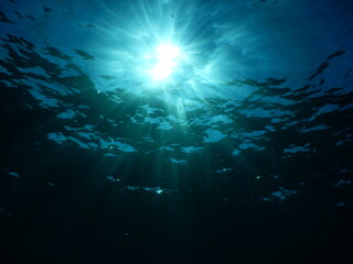 伊豆の上でダイビング中に水中から眺めた太陽の日差しがキラキラ眩しい水面