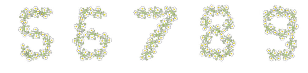 Numbers 5, 6, 7, 8, 9 made of white flowers