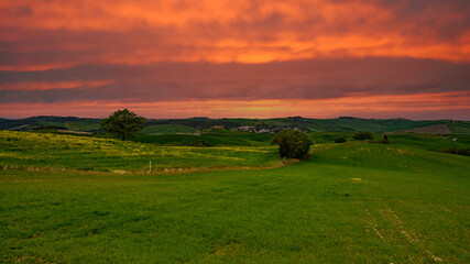 Tuscany spring, rolling hills and windmill on sunset. Rural landscape. Green fields. Italy, Europe