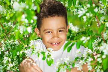 Five year old little boy in summer park