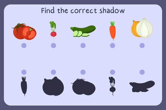 Matching children educational game with food - tomato, radish, zucchini, carrot, onion. Find the correct shadow. Vector illustration.