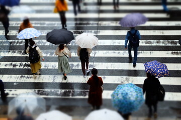 雨の日の歩行者