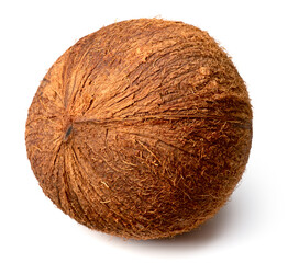 whole hairy coconut fruit isolated on white background