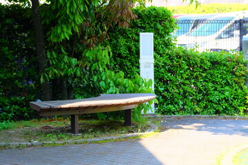 bench in a park surrounded by green tree