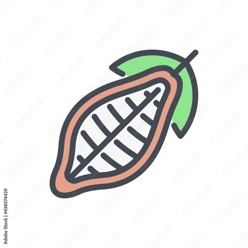 Poster cocoa fruit with leaves color line icon. cocoa bean vector outline colorful sign.