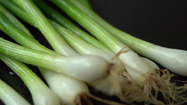 Close up of fresh green onions with water drops rotate on black tray. Healthy and organic vegetables concept. Greens. Harvest, crop.