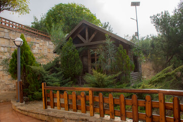 Fototapeta premium wooden bridge in the woods