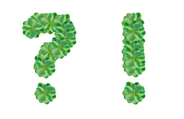 Question mark and exclamation mark made of strawberry leaves