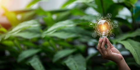 hand holding light bulb against nature, icons energy sources for renewable,