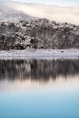 Fototapeta premium lago en invierno