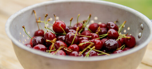 bowl of cherries