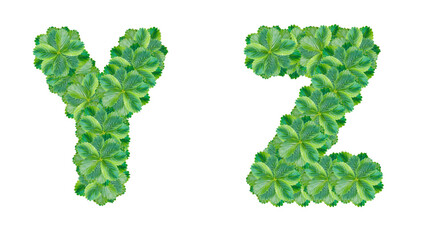 The letters Y, Z are made from strawberry leaves