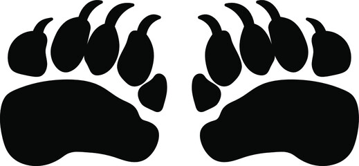 Vector of the Bear Foots 