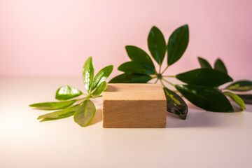 Wooden square stand on a light shadow background. An empty storefront without a brand. A showcase for cosmetics. Product advertising. Copy space.