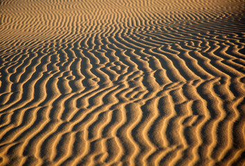 The texture of sand on the Sarykum dune is a desert in Russia, which is the second highest in the...