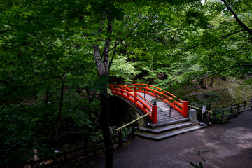 Early summer shrine , Kyoto , Japan